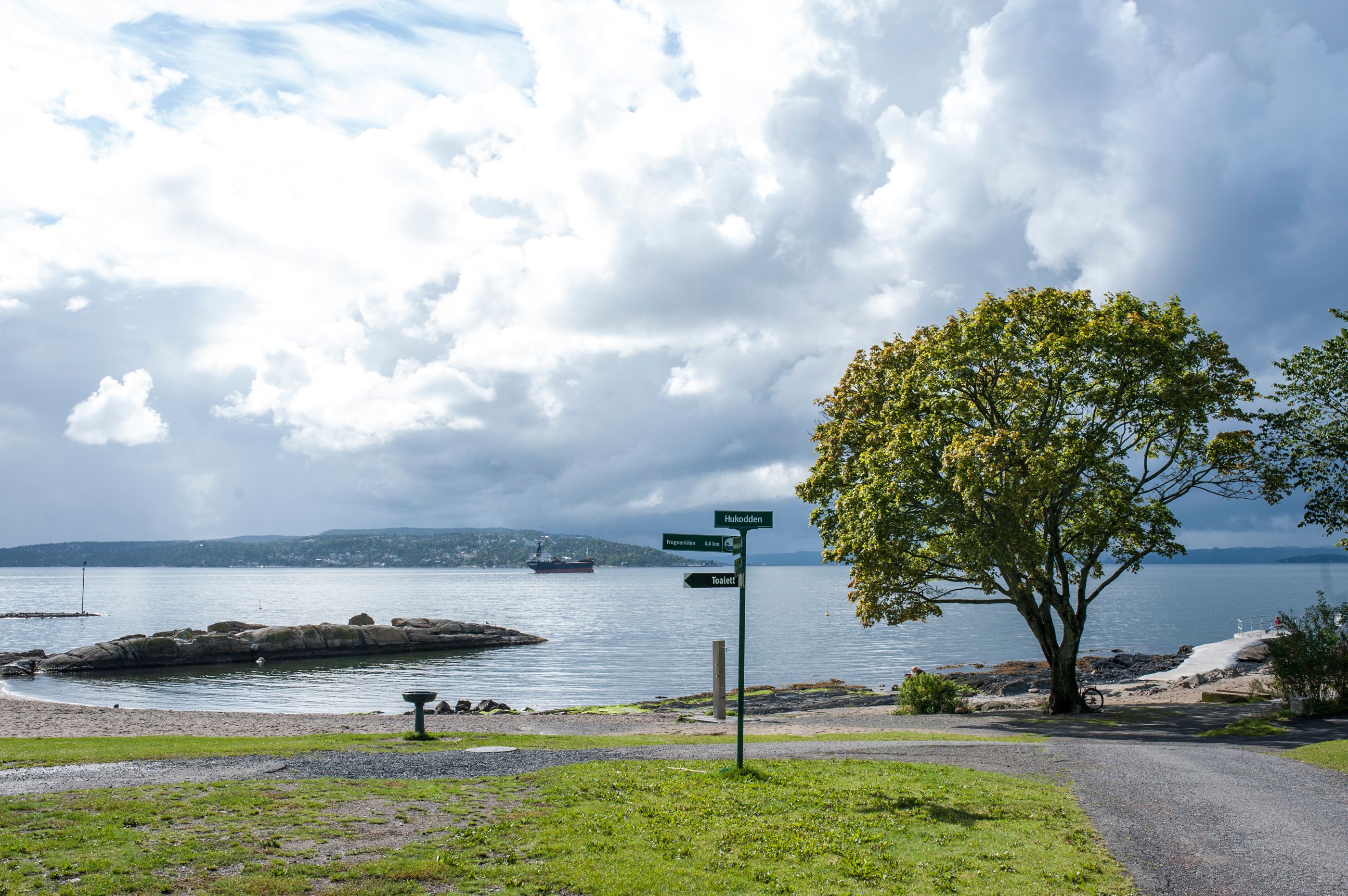 Beach with road, lawn and trees.