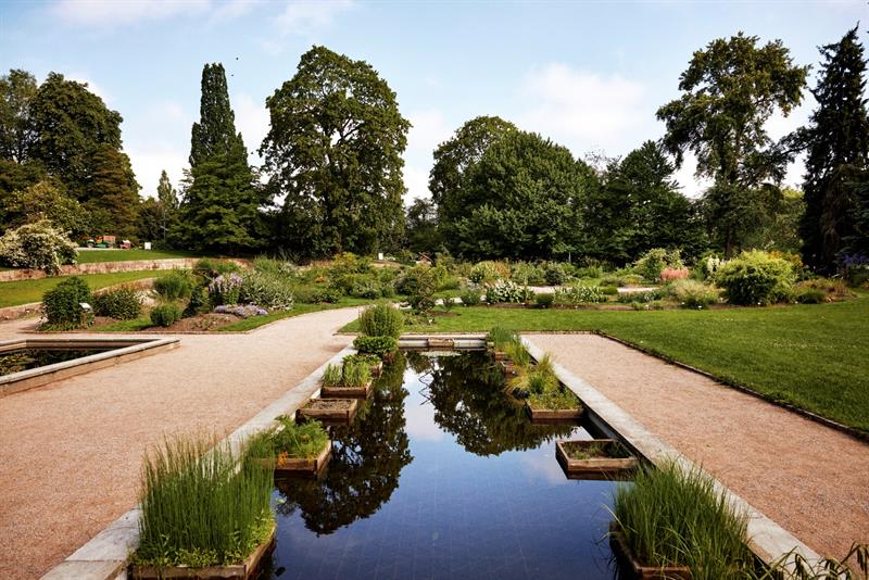 A peaceful botanical garden with gravel paths, a pond, and lush trees and flowers on a clear day.
