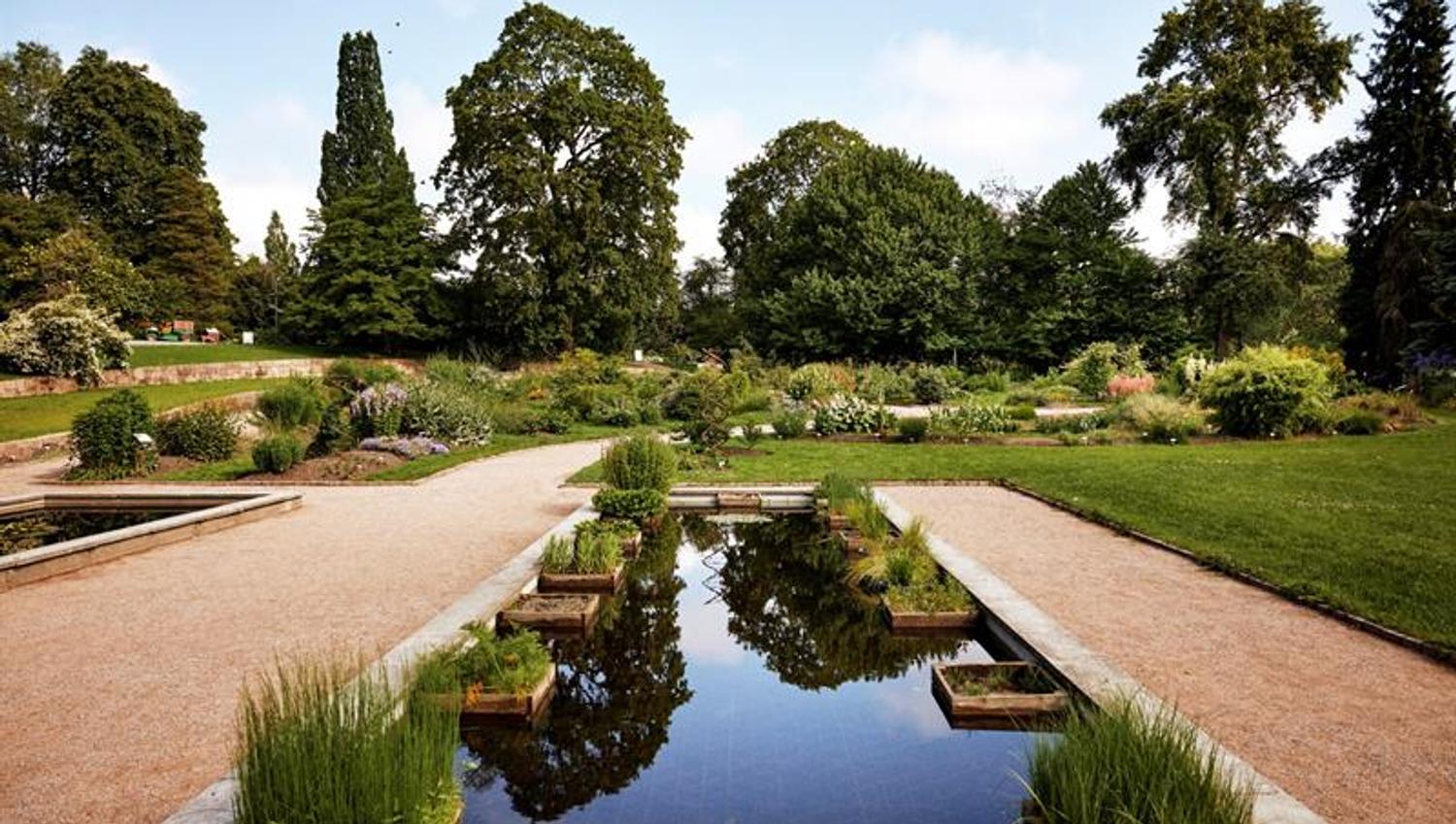 A peaceful botanical garden with gravel paths, a pond, and lush trees and flowers on a clear day.