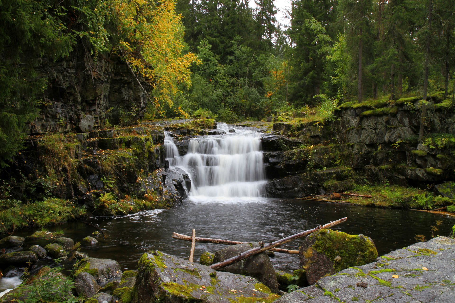 0 _MG_4780_Jørgen Skaug