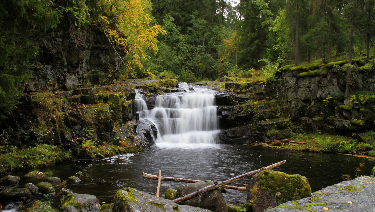 0 _MG_4780_Jørgen Skaug