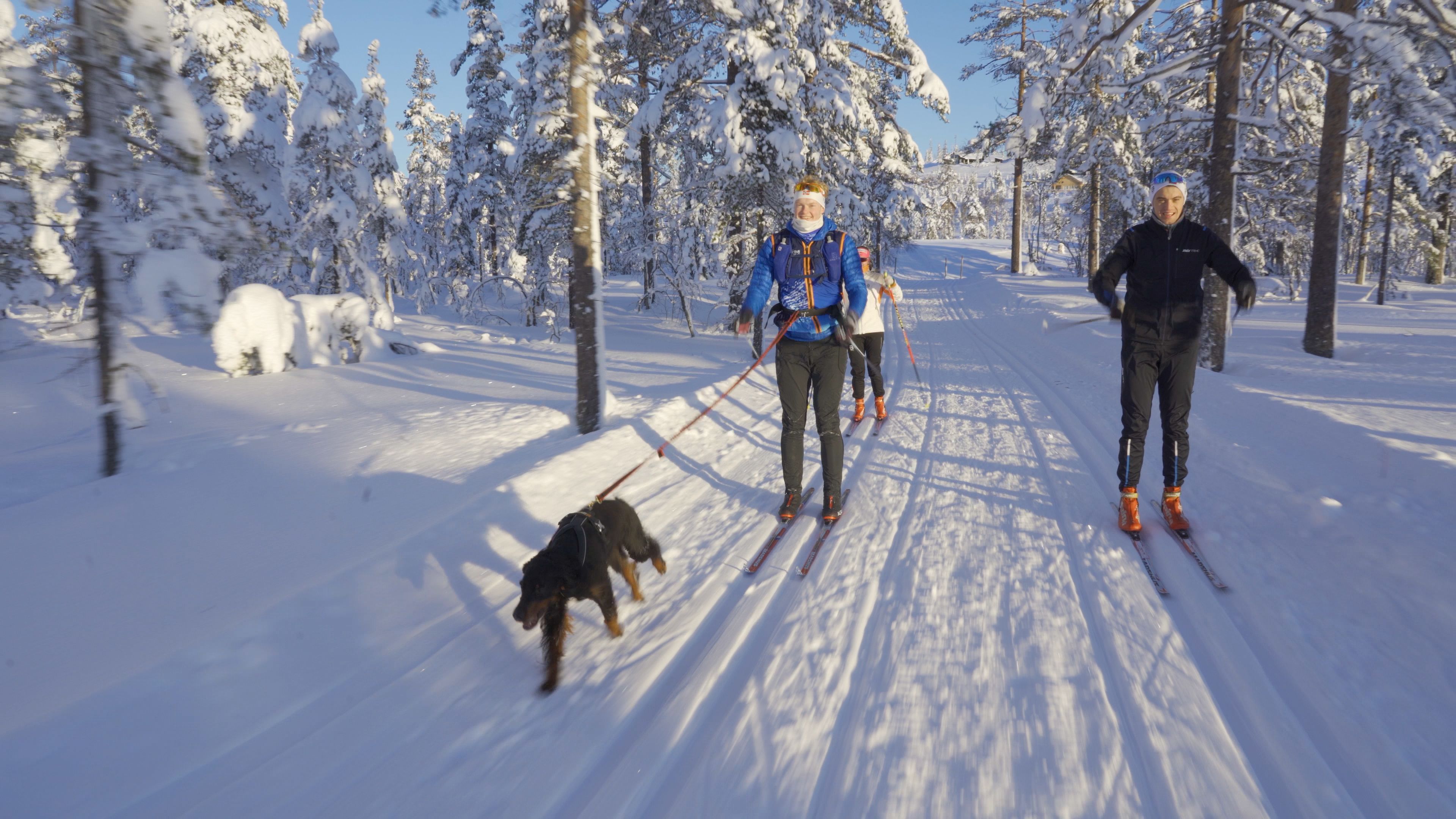 Ski langrenn Lygna
