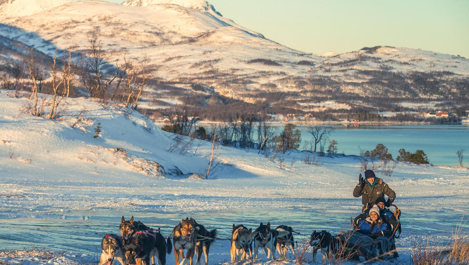 Dog sled with mountains and sea in the background
