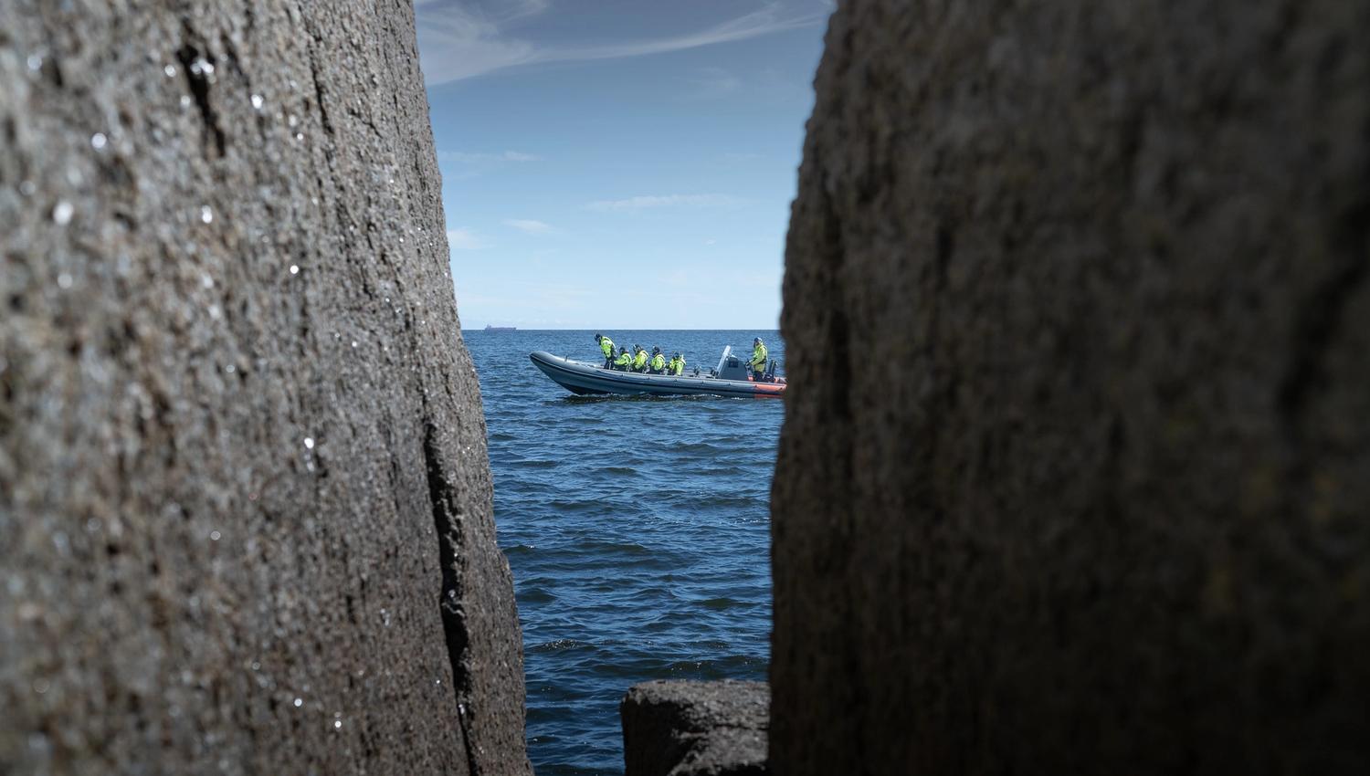 Rib i sikte mellom fjellene