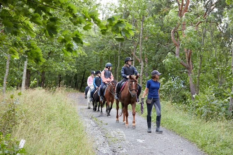 horsebackriding group in the forest of Bygdø Kongsgård. Photo