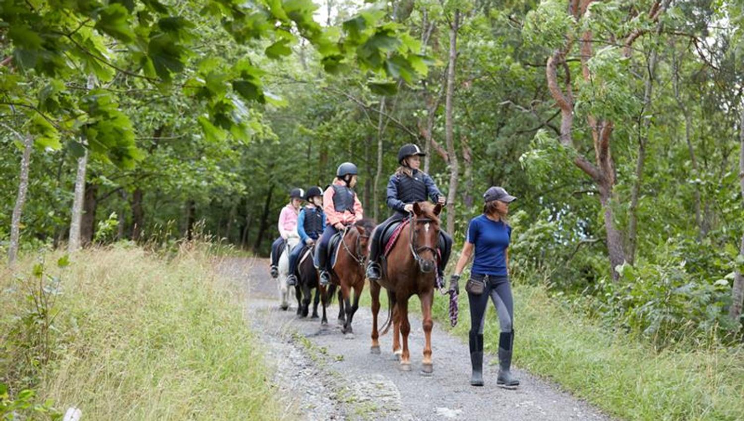 horsebackriding group in the forest of Bygdø Kongsgård. Photo