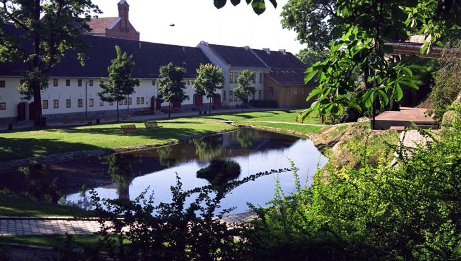 Summer photo of a pond, surrounded by a grass, trees and houses.