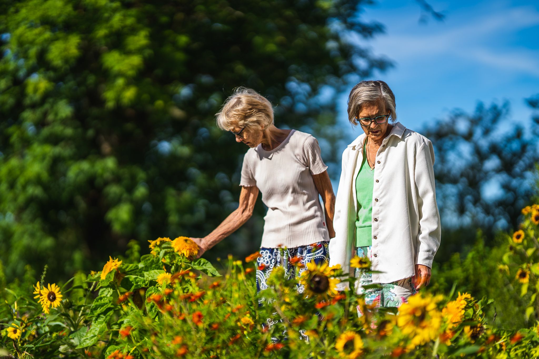 damer som ser på blomster