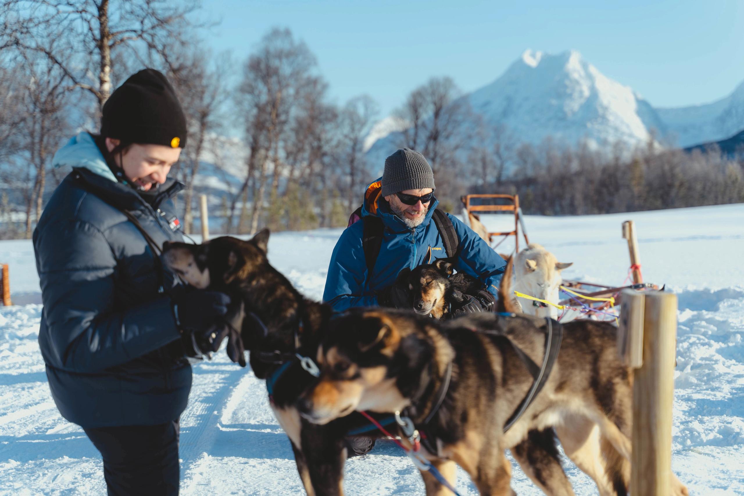 Guests play with the huskies