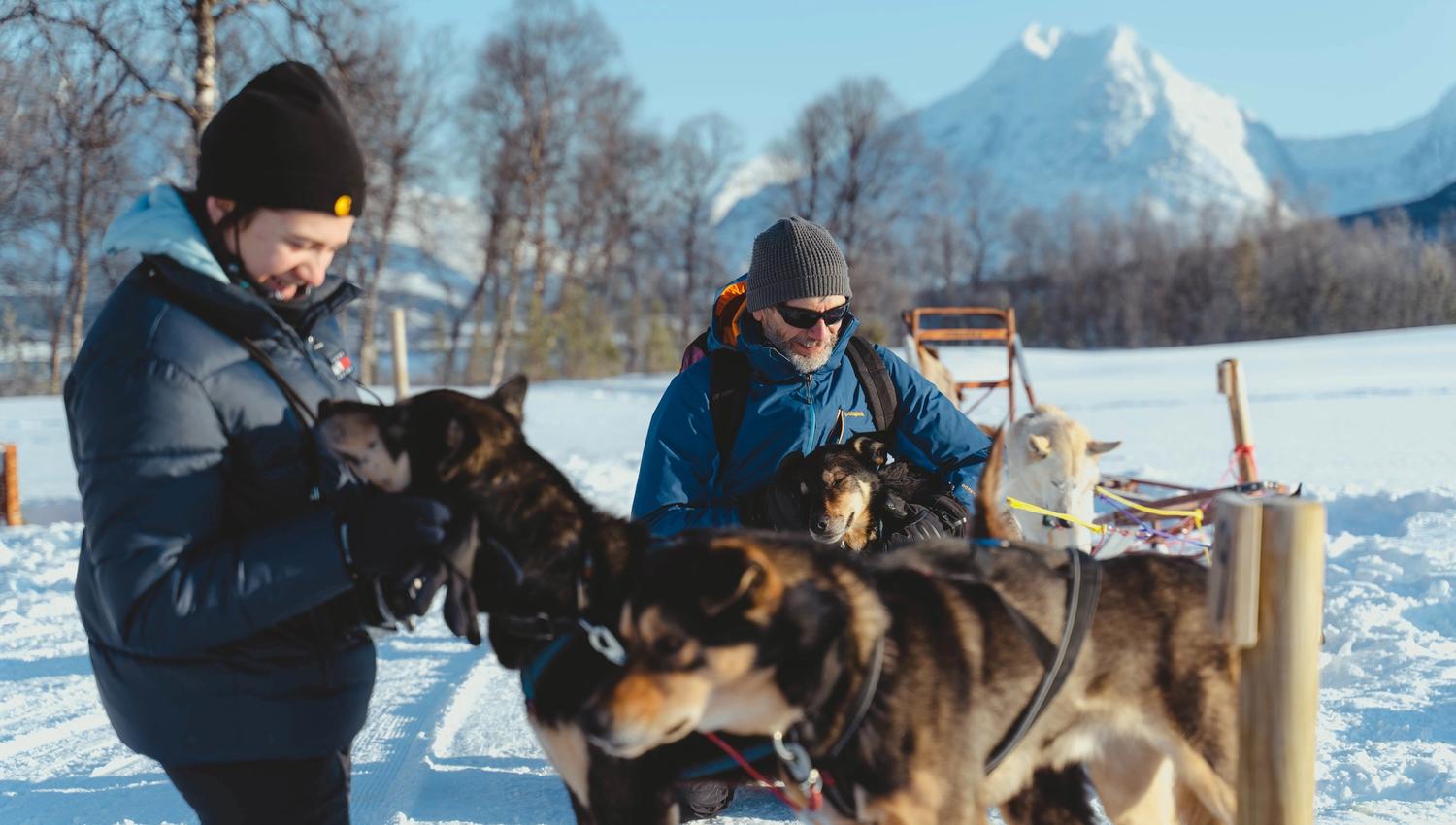 Guests play with the huskies