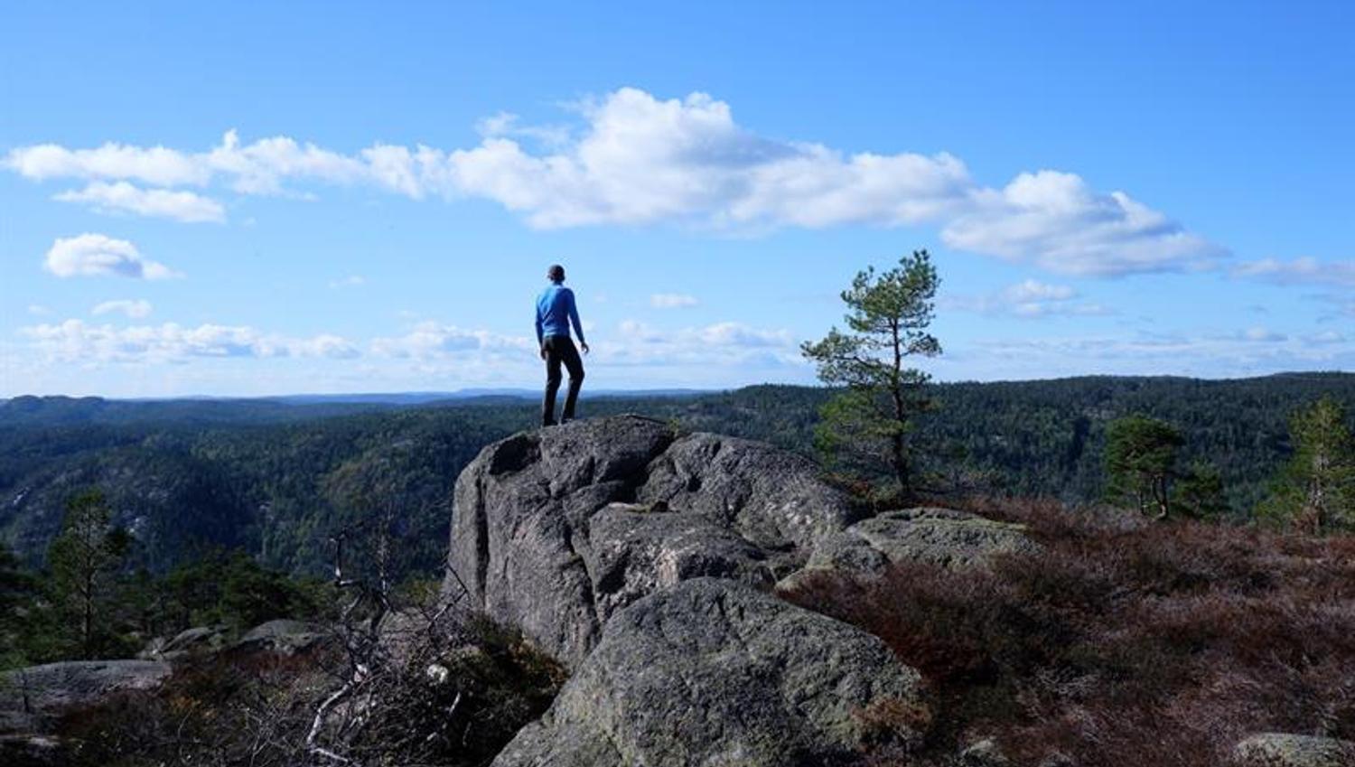 Risla Barder Line Cd R File Hengeknuten at Rislå