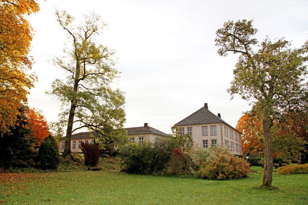 høst i Brekkeparken