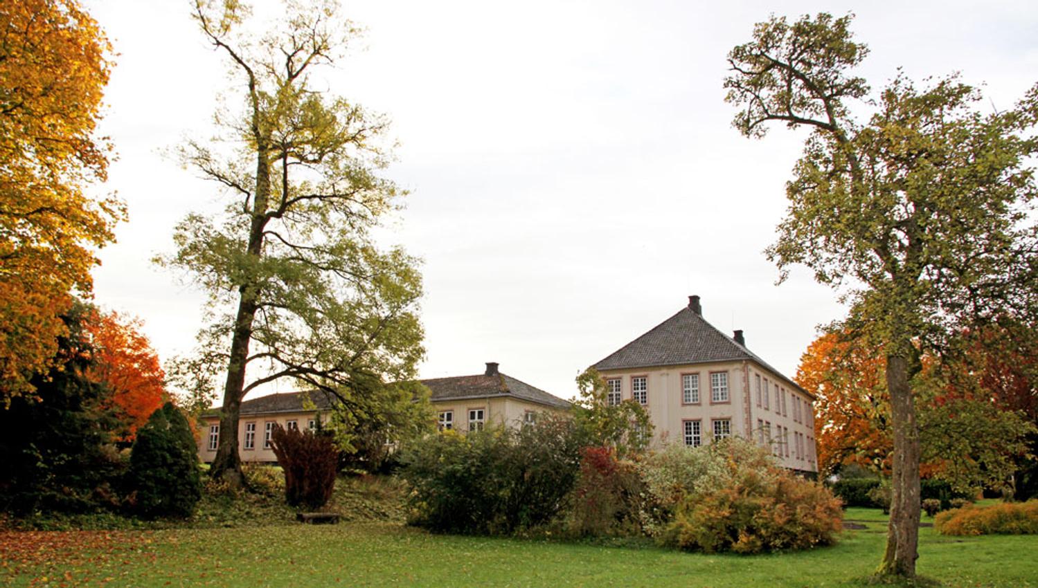 høst i Brekkeparken
