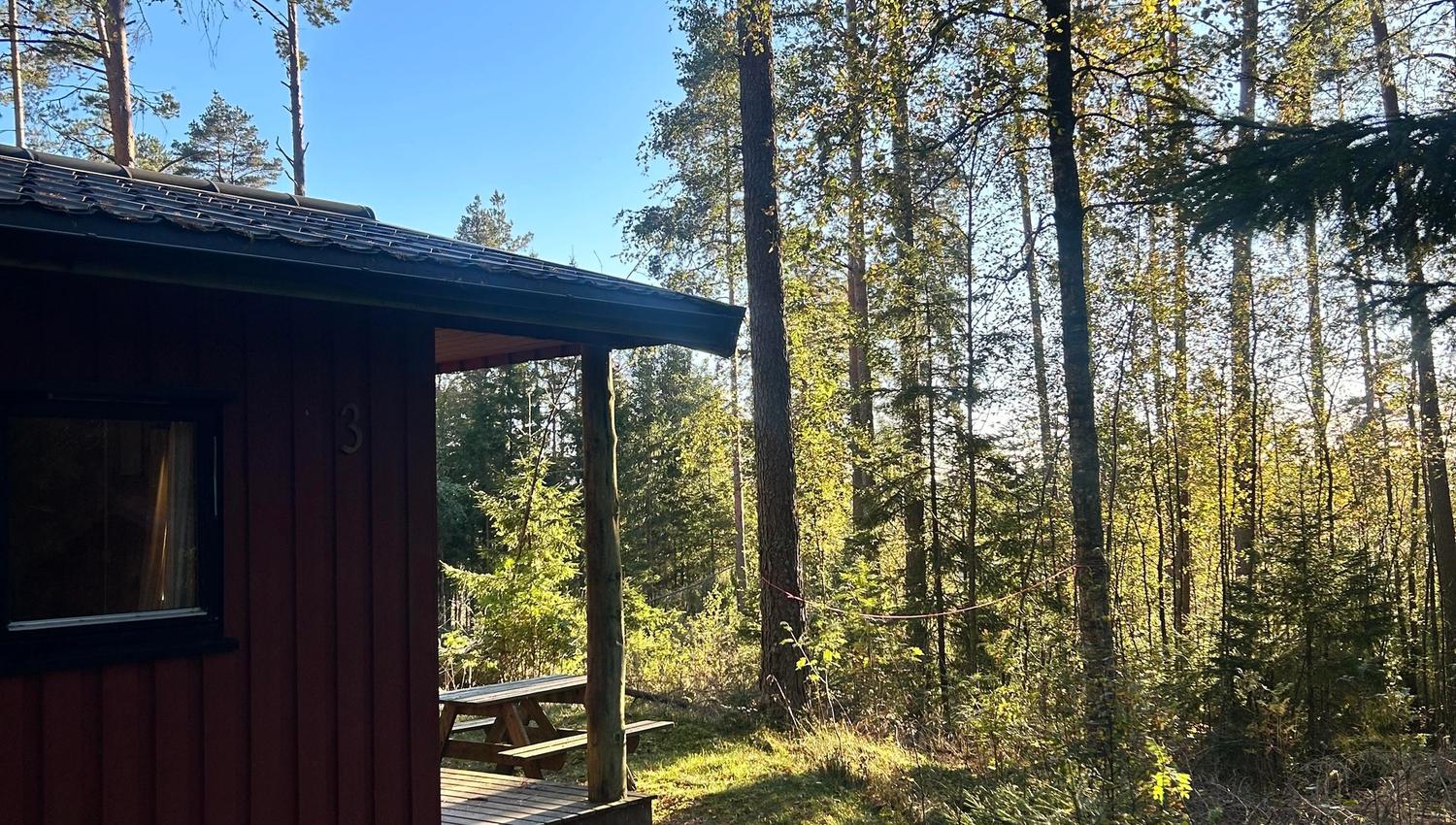 A cabin surrounded by forest