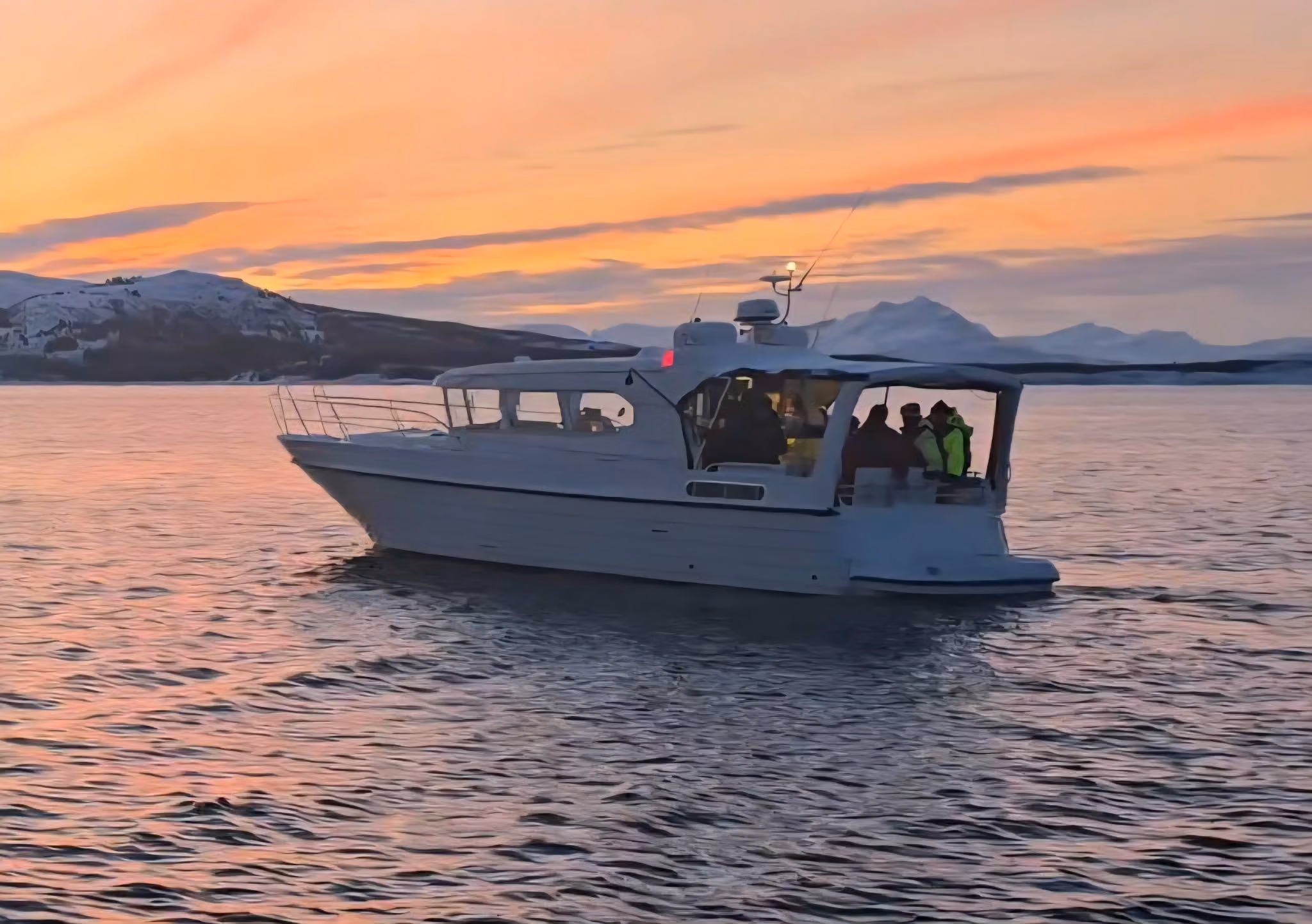 Havsafari på Sør-Senja