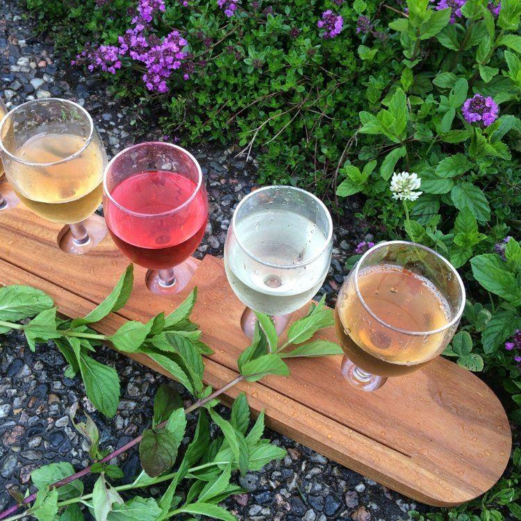 Guided Cidery Tour to Balestrand