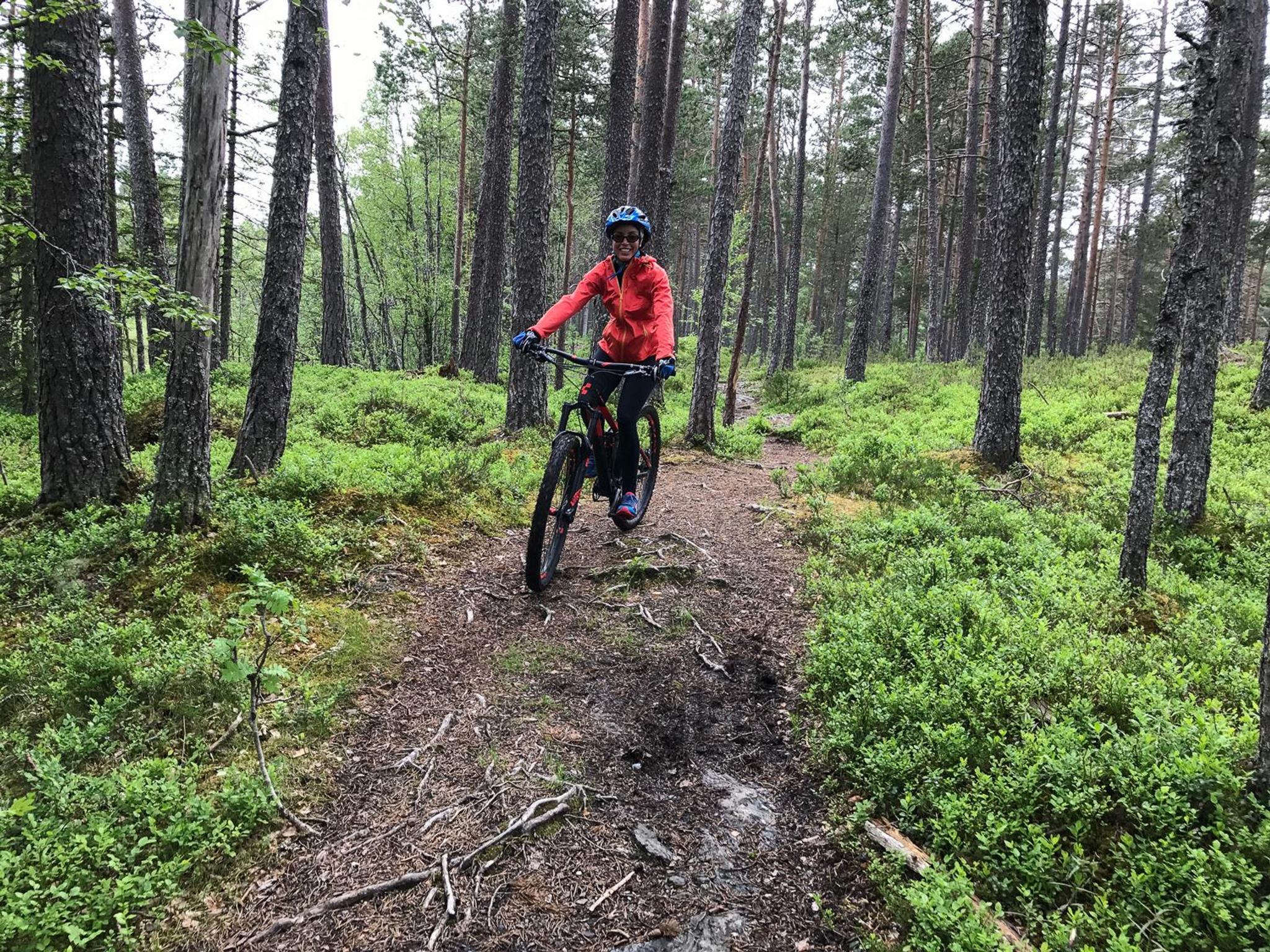 MTB utleige