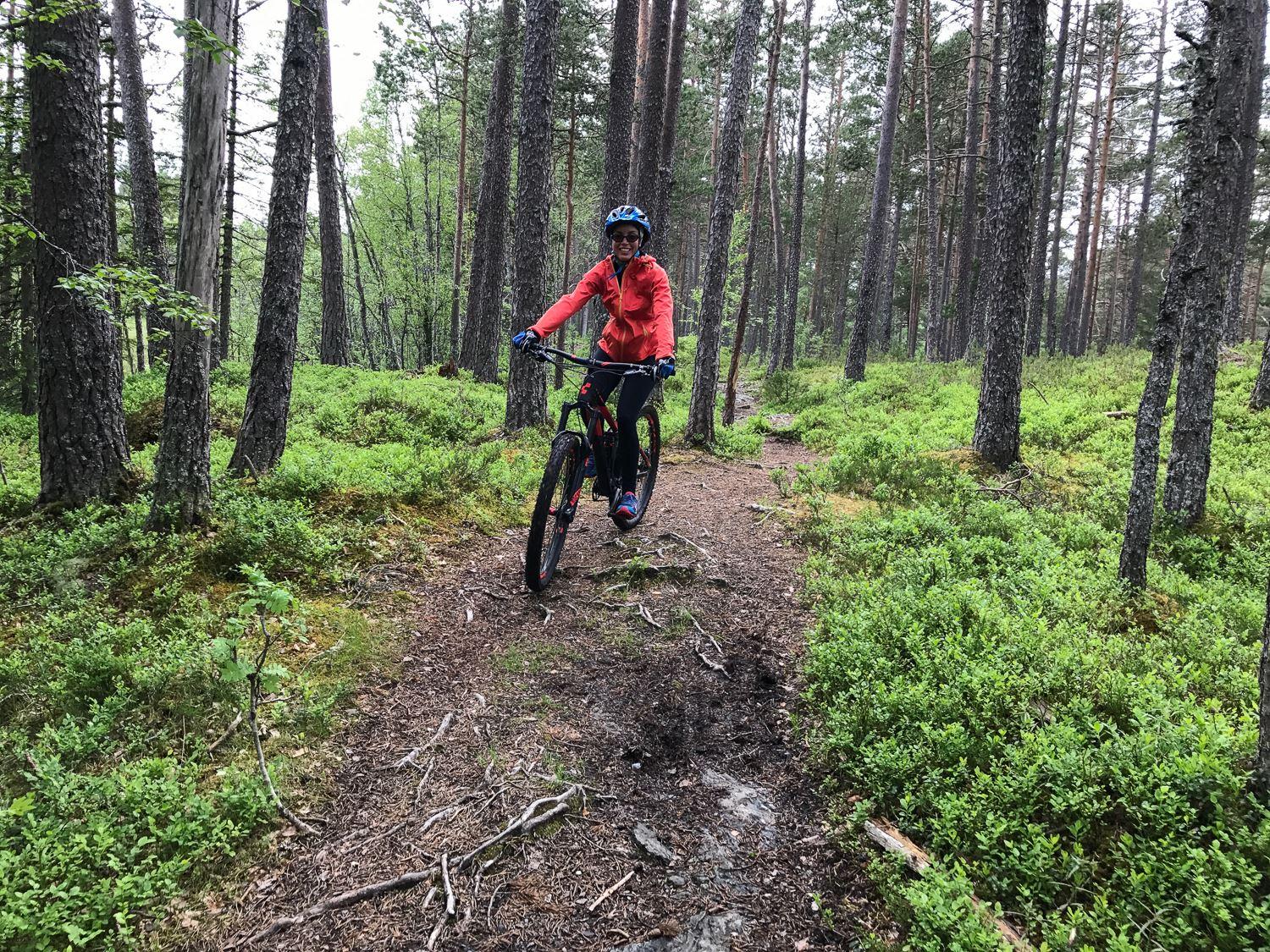 MTB utleige