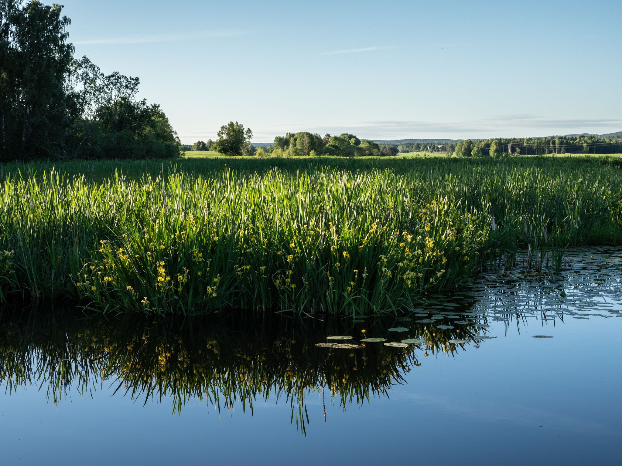 lake