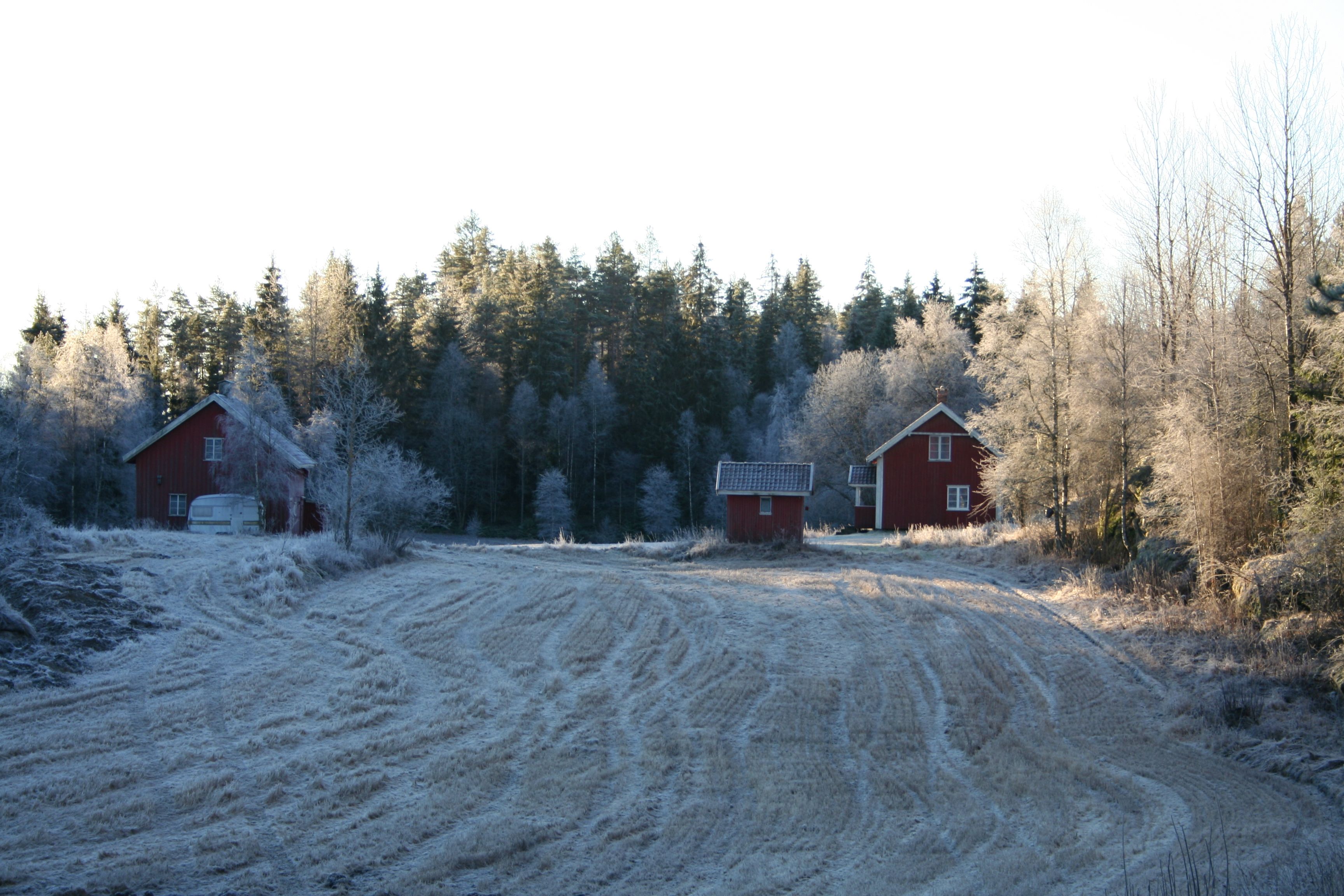 Tur i skogen