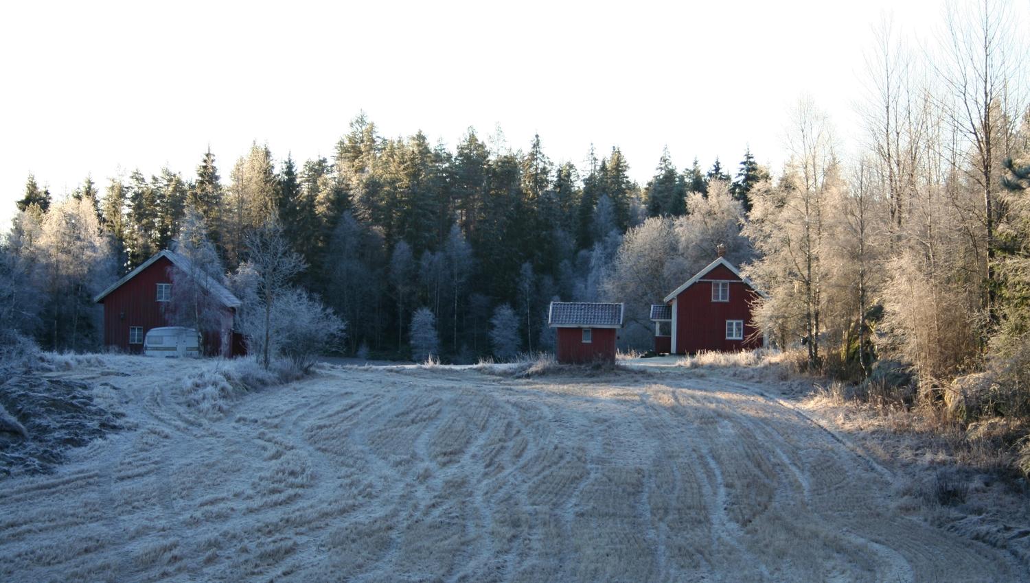 Tur i skogen