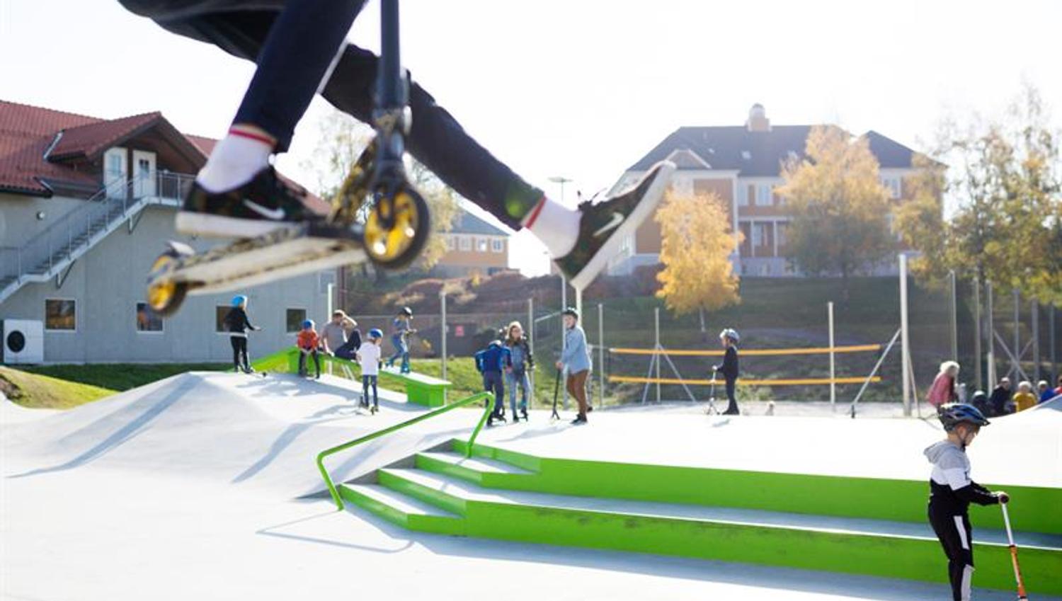 skate bane