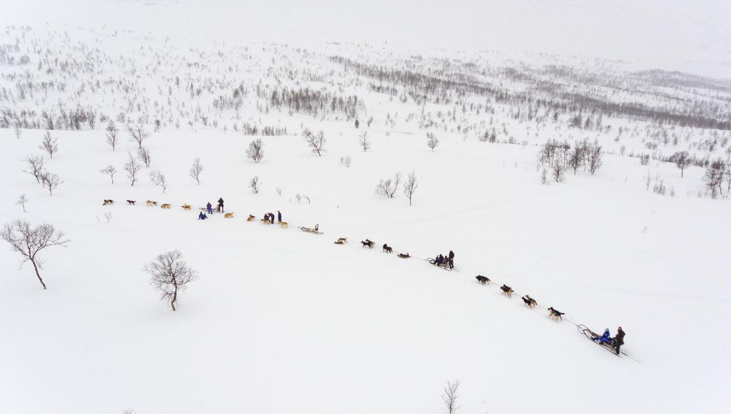 Hundeslede sett fra lufta