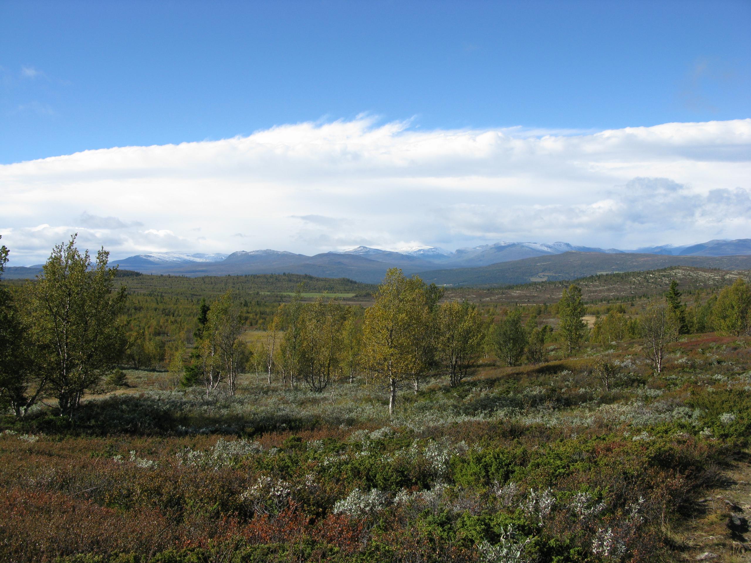 Espedalen
