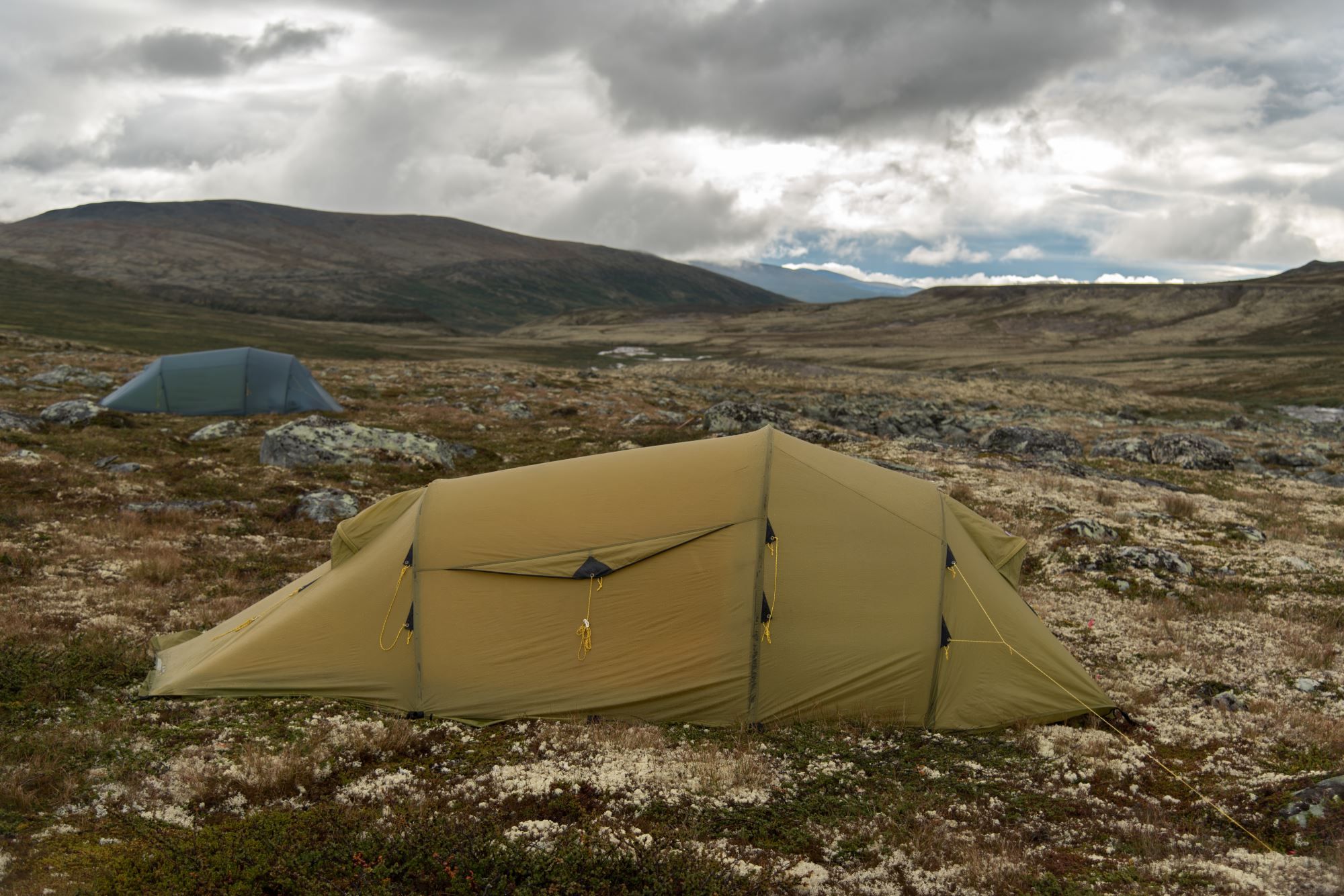 Musk Ox Safari Personal Tour, 2 days