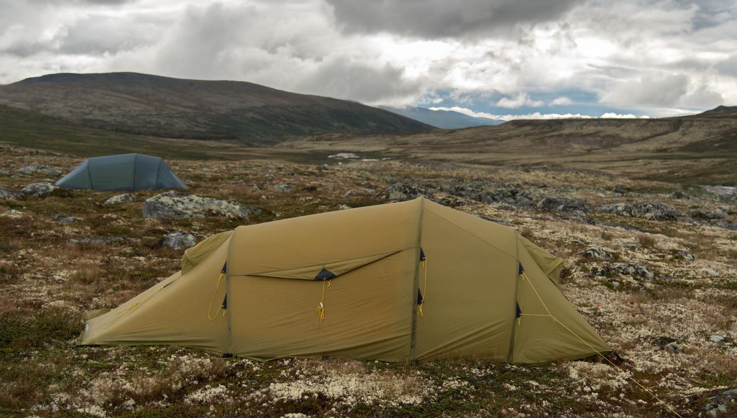 Musk Ox Safari Personal Tour, 2 days