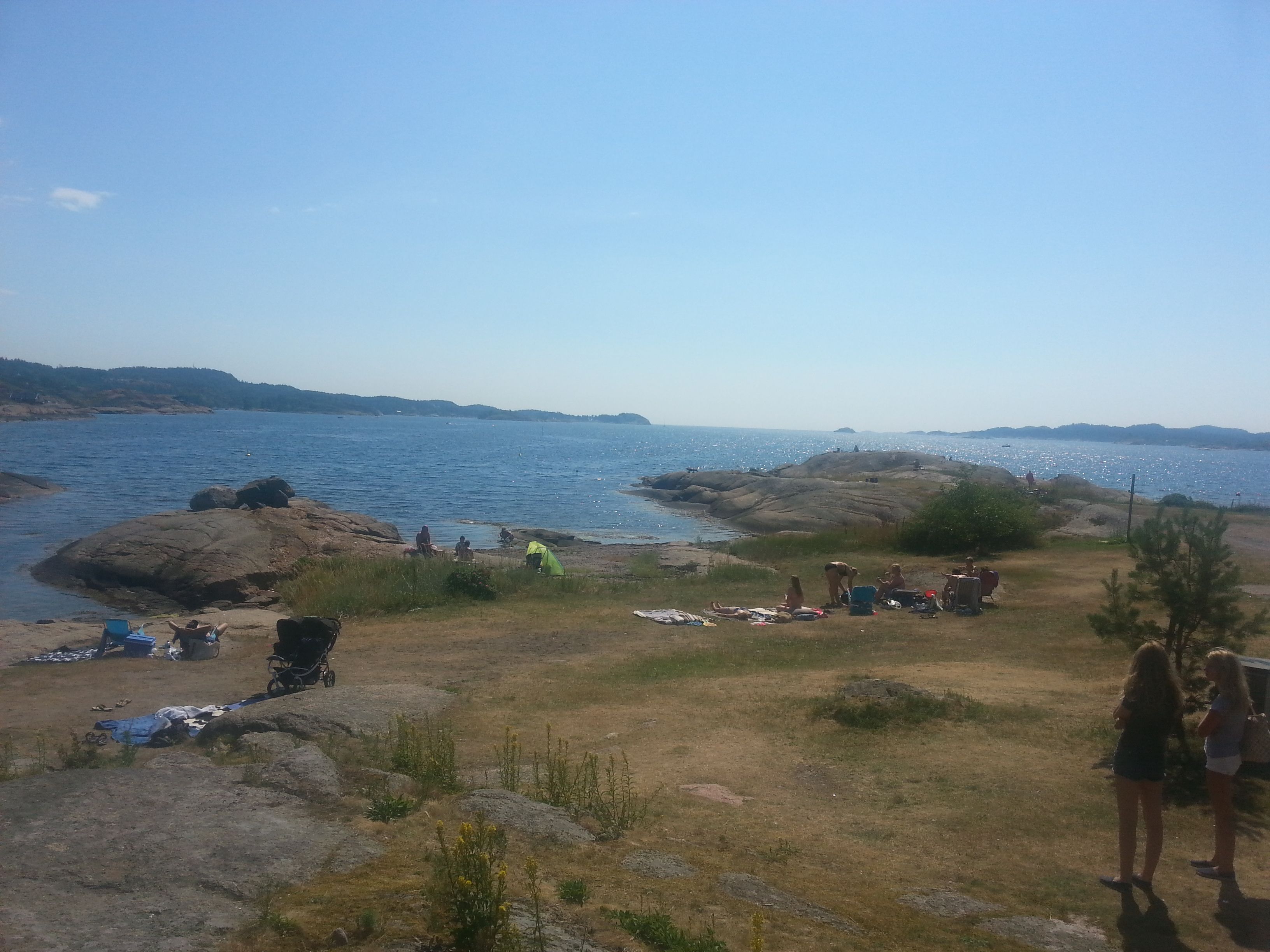 Grassland and sea