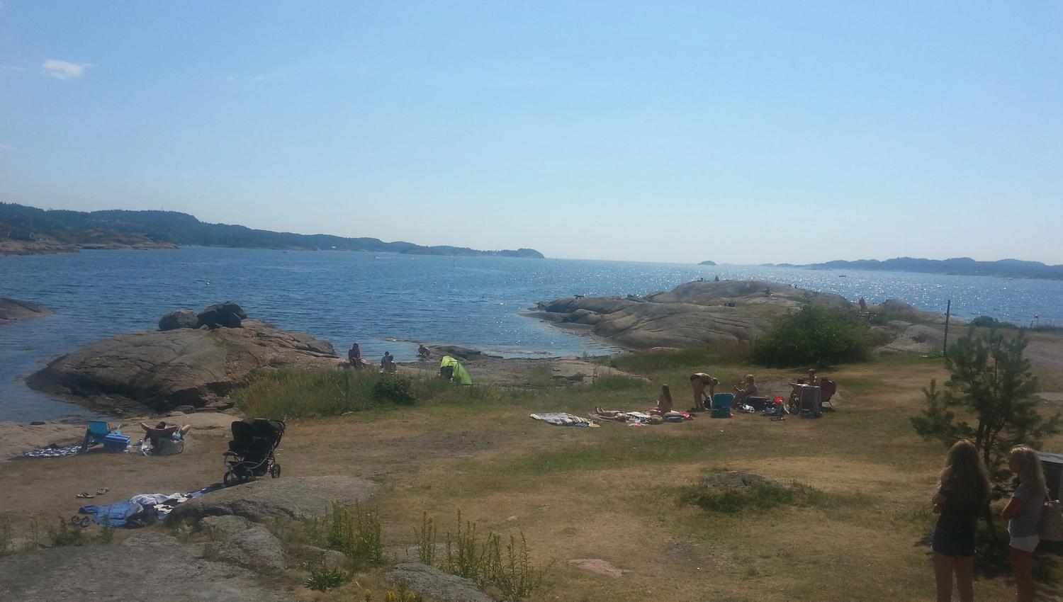 Grassland and sea