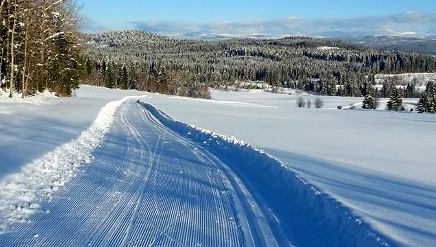 Steinkjer-Midterfjellet-Skiløype-Vinter-sol-(10)