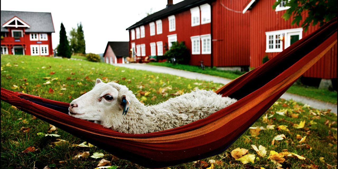 Innherred - Oppdag skjulte skatter | Visit Norway