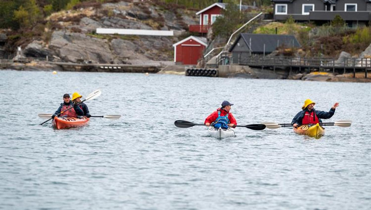 Guided kayak trip