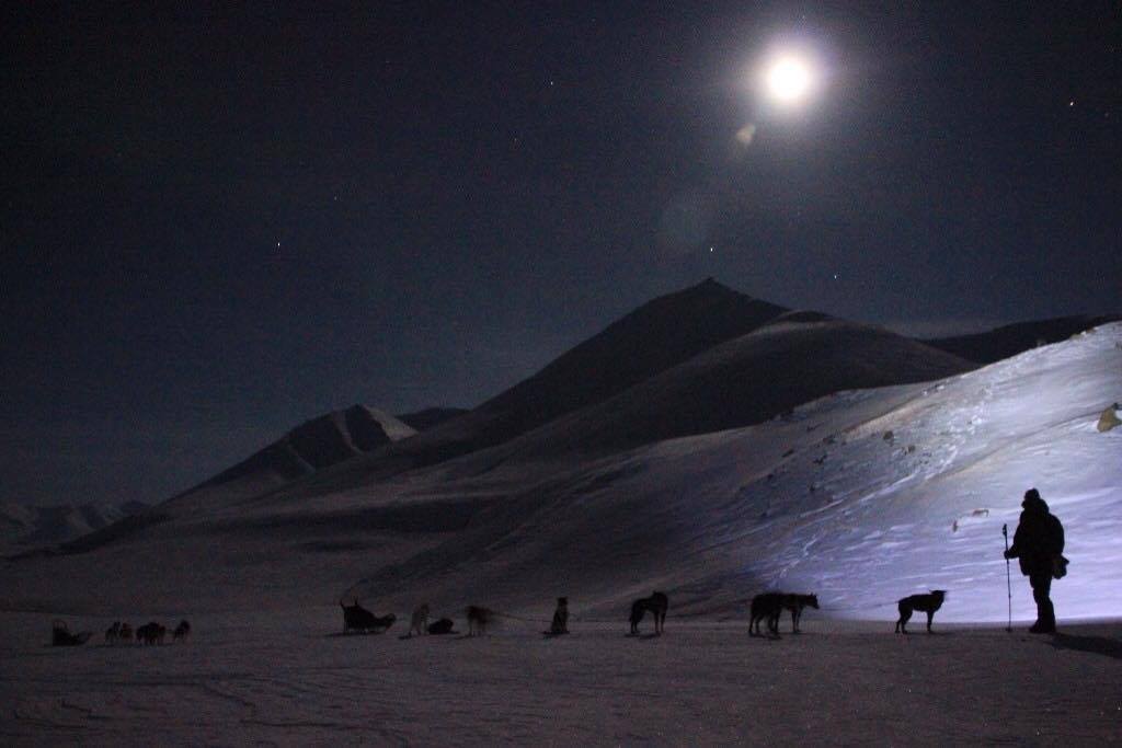 Hundesleder i polarnatta