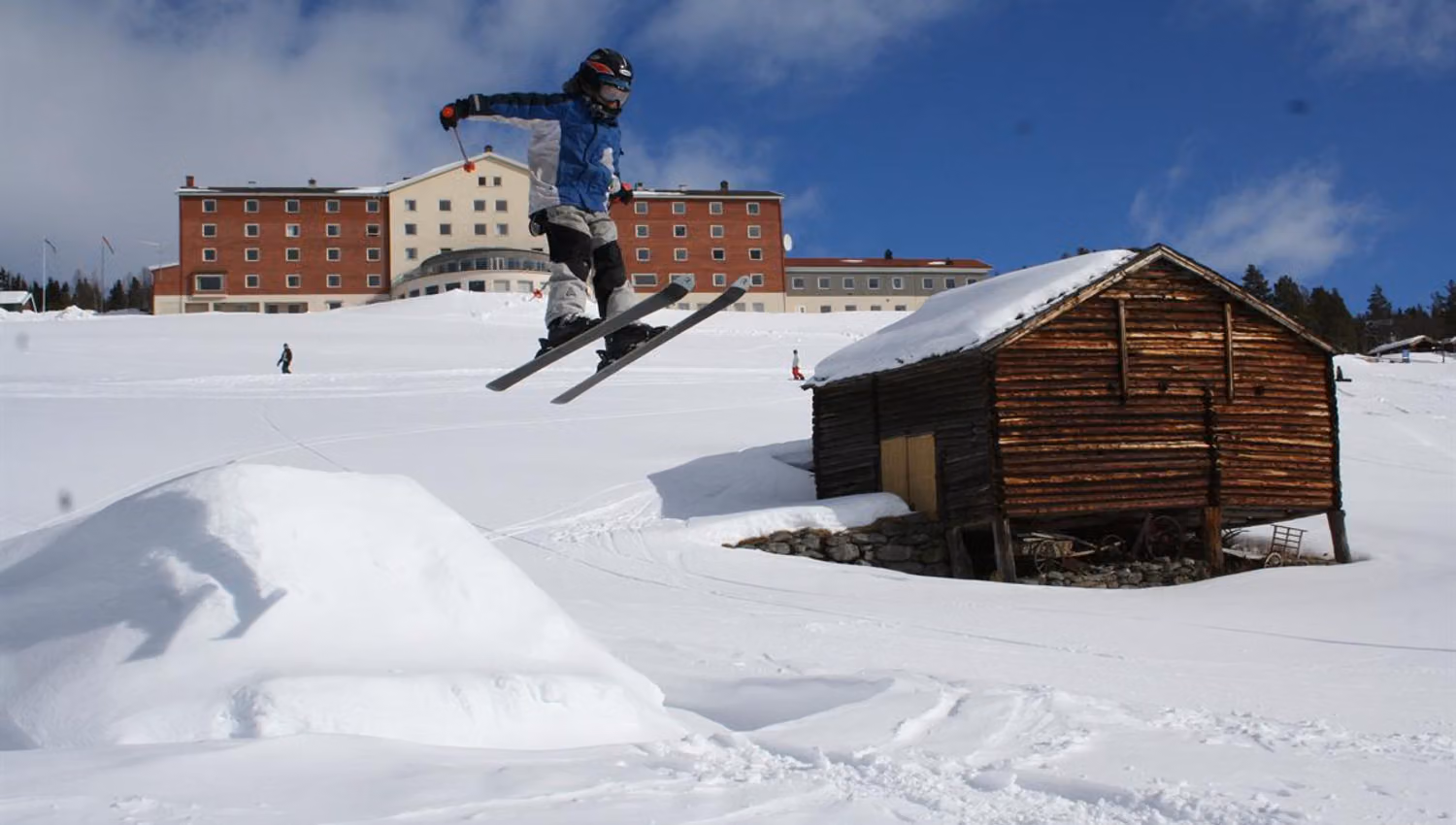 Dalseter Hotel - alpine