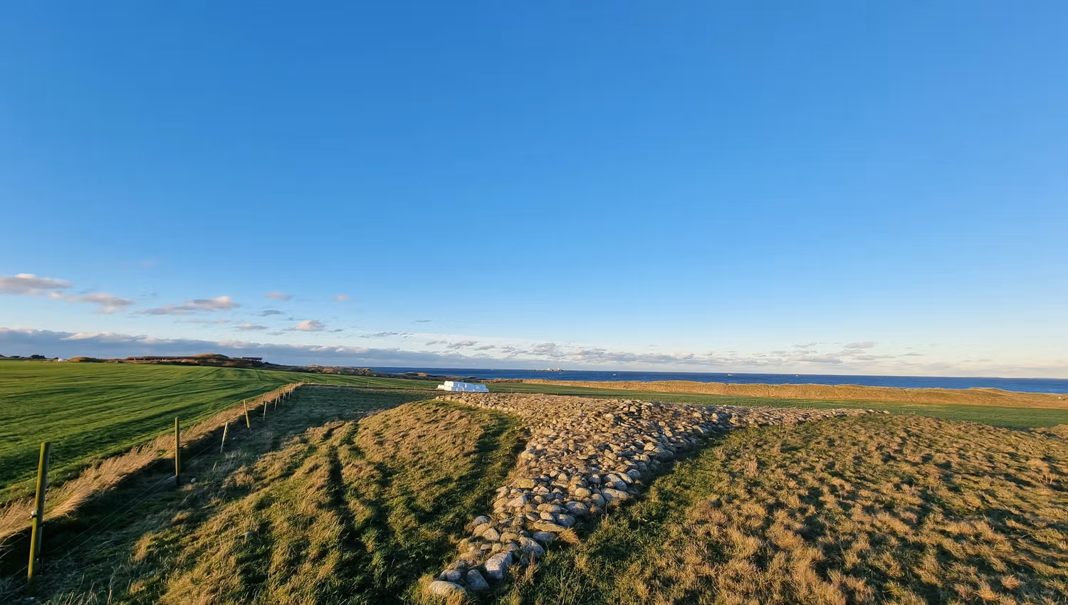 Steinstjerna