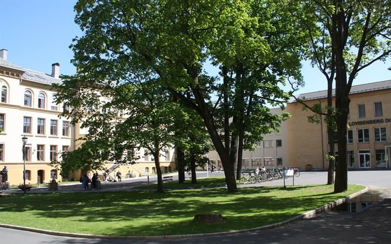Eksteriør.
