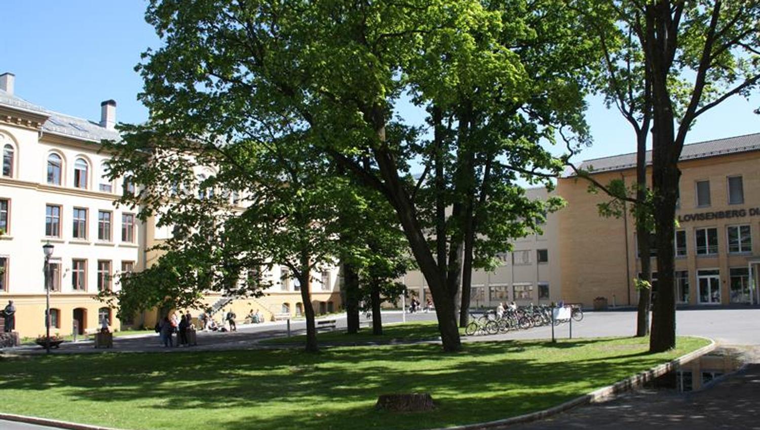 Eksteriør.