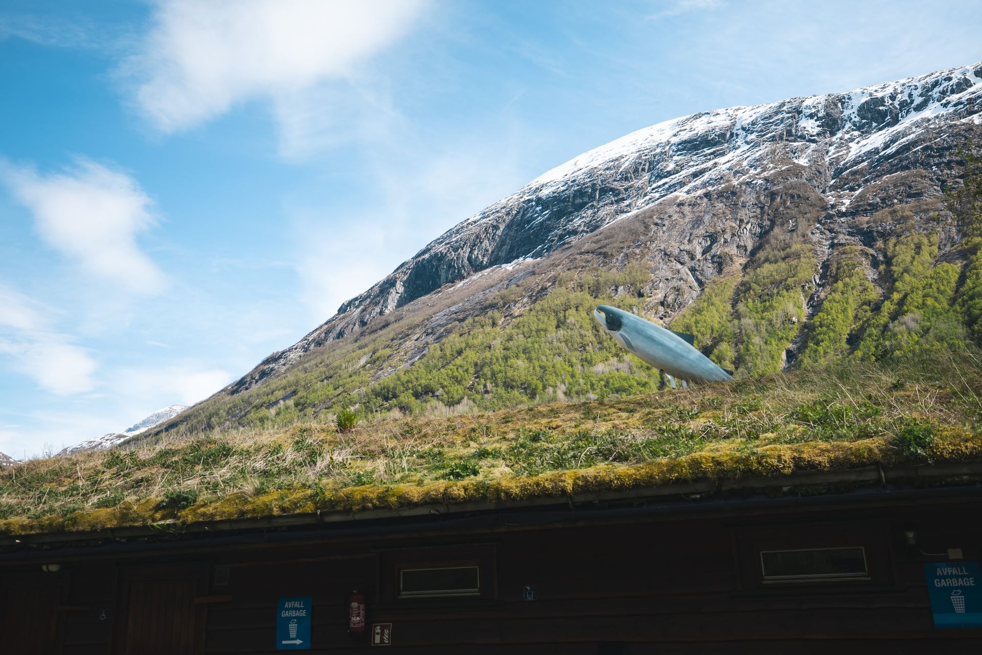 Snow-dusted mountain under blue sky, with a grass-covered roof in foreground and a fish-shaped sculpture above it..