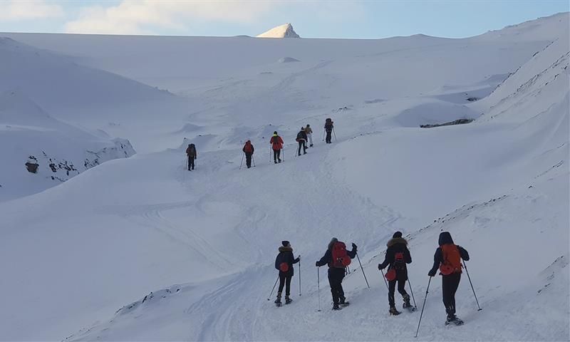 To grupper med gjester på fottur i snødekte omgivelser på vei opp en fjellside
