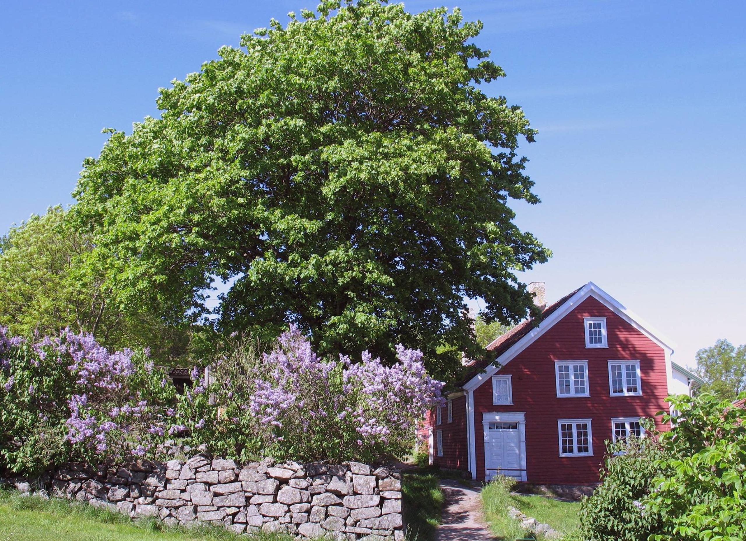 Merdøgaard museum