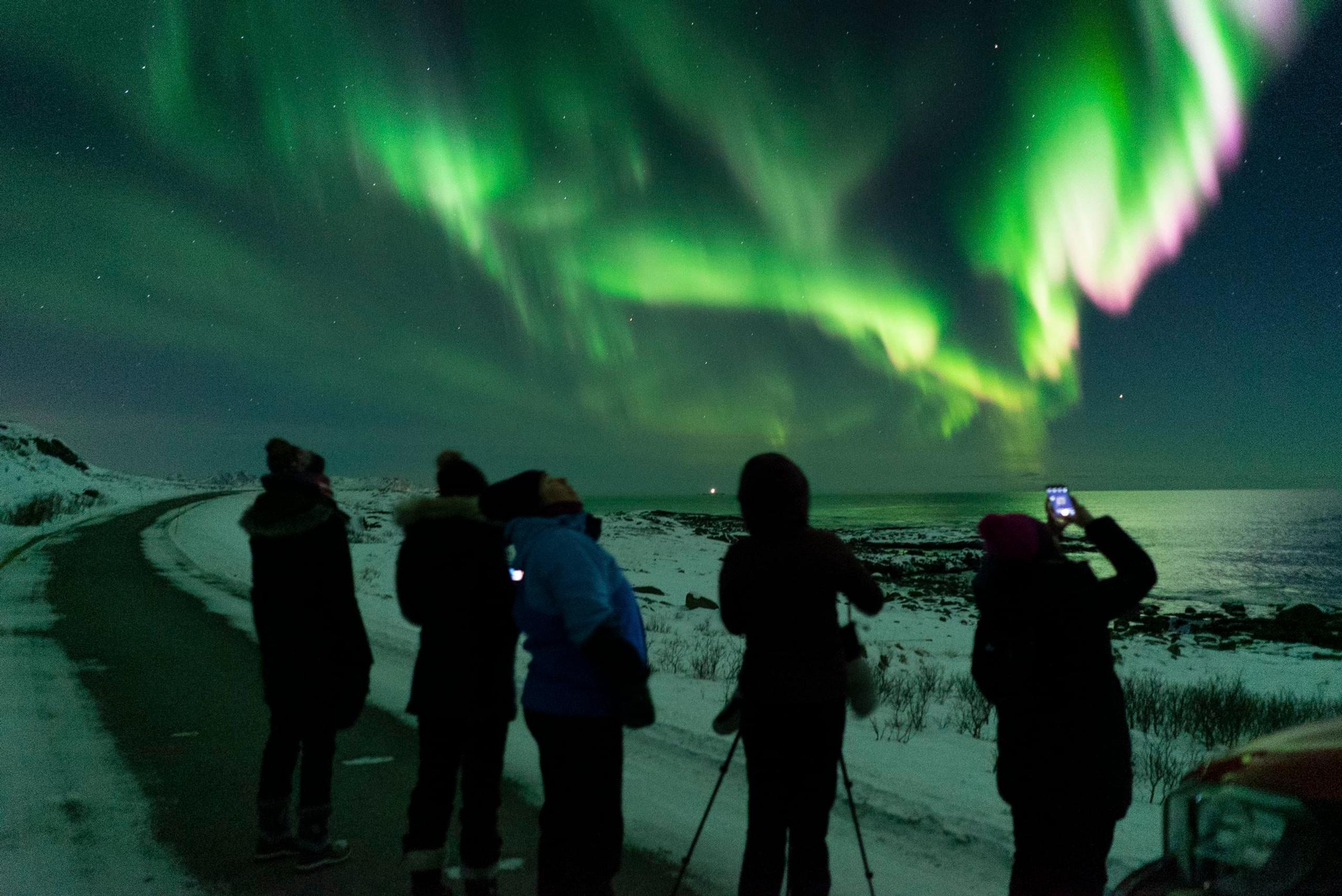 Northern lights safari - Vesterålen Tours