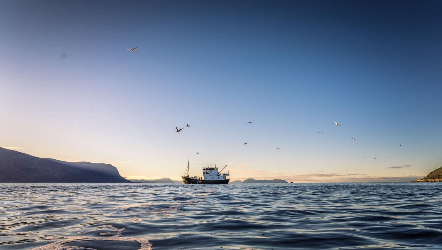 På fisketur i solnedgang ute ved havet.