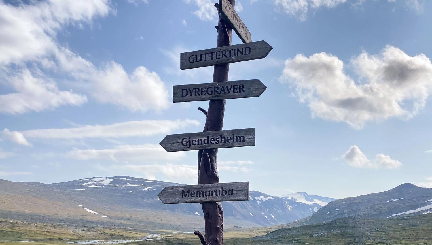 Wooden directional signpost with multiple arrows stands against a blue sky, with mountains and valley in the background..