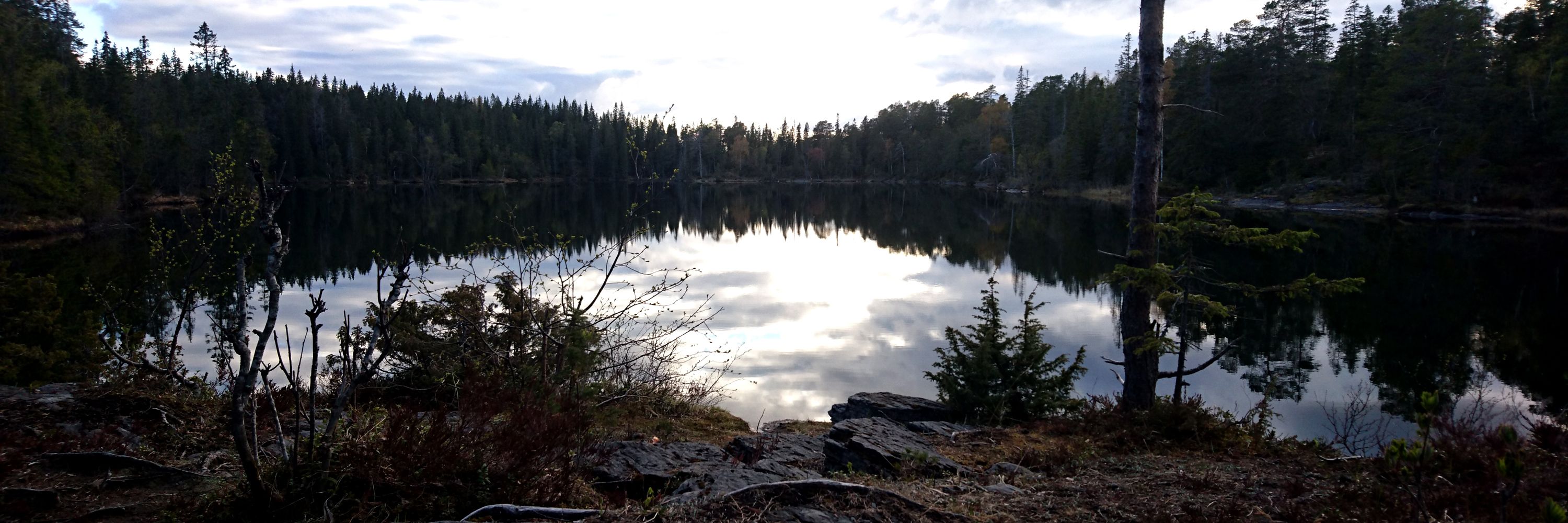 Bergåsen Nature Trail in Snåsa

