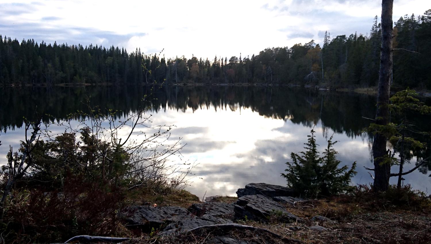 Bergåsen Nature Trail in Snåsa