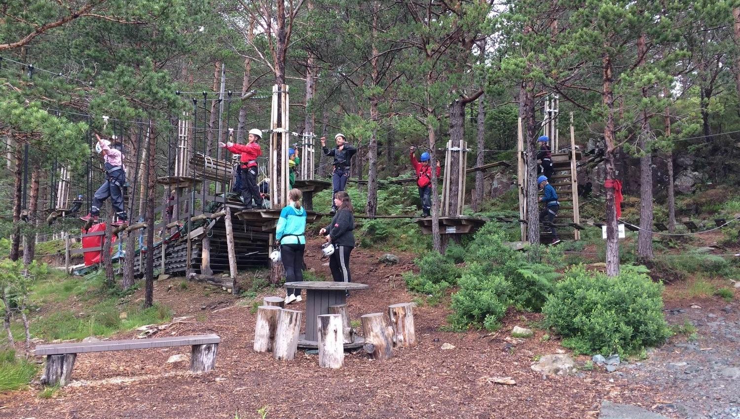Opplevingar i nærleiken av Bremanger Fjordhotell: Fleire personar med hjelm og sele i ein klatrepark mellom furutre, med plattformer og tau i skogen..