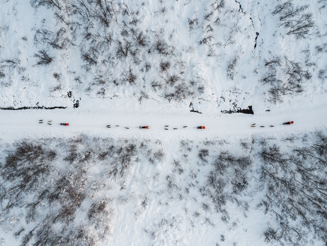 Flyfoto av hundesledene og fjellskogen